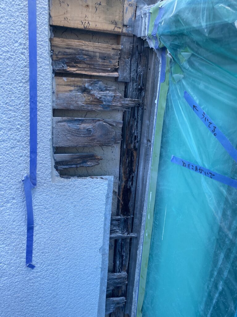 外壁撤去後<br />木部腐食